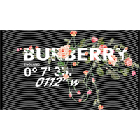 Brand Catalog-ZX 319